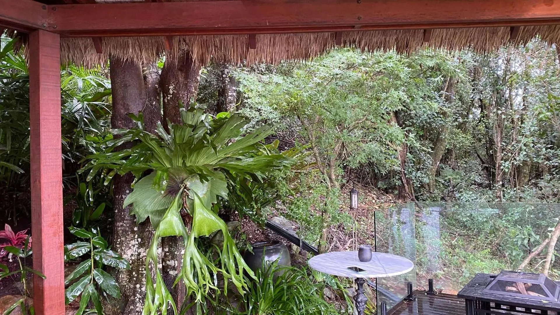 Cabane Tiny Tree House No4 Beechmont